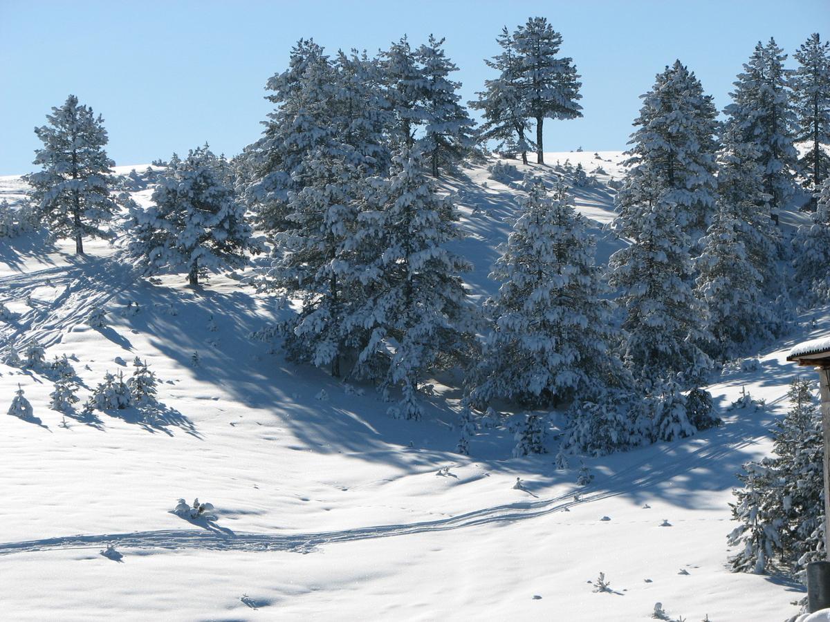 Chalet Four Seasons Zlatibor Exterior photo