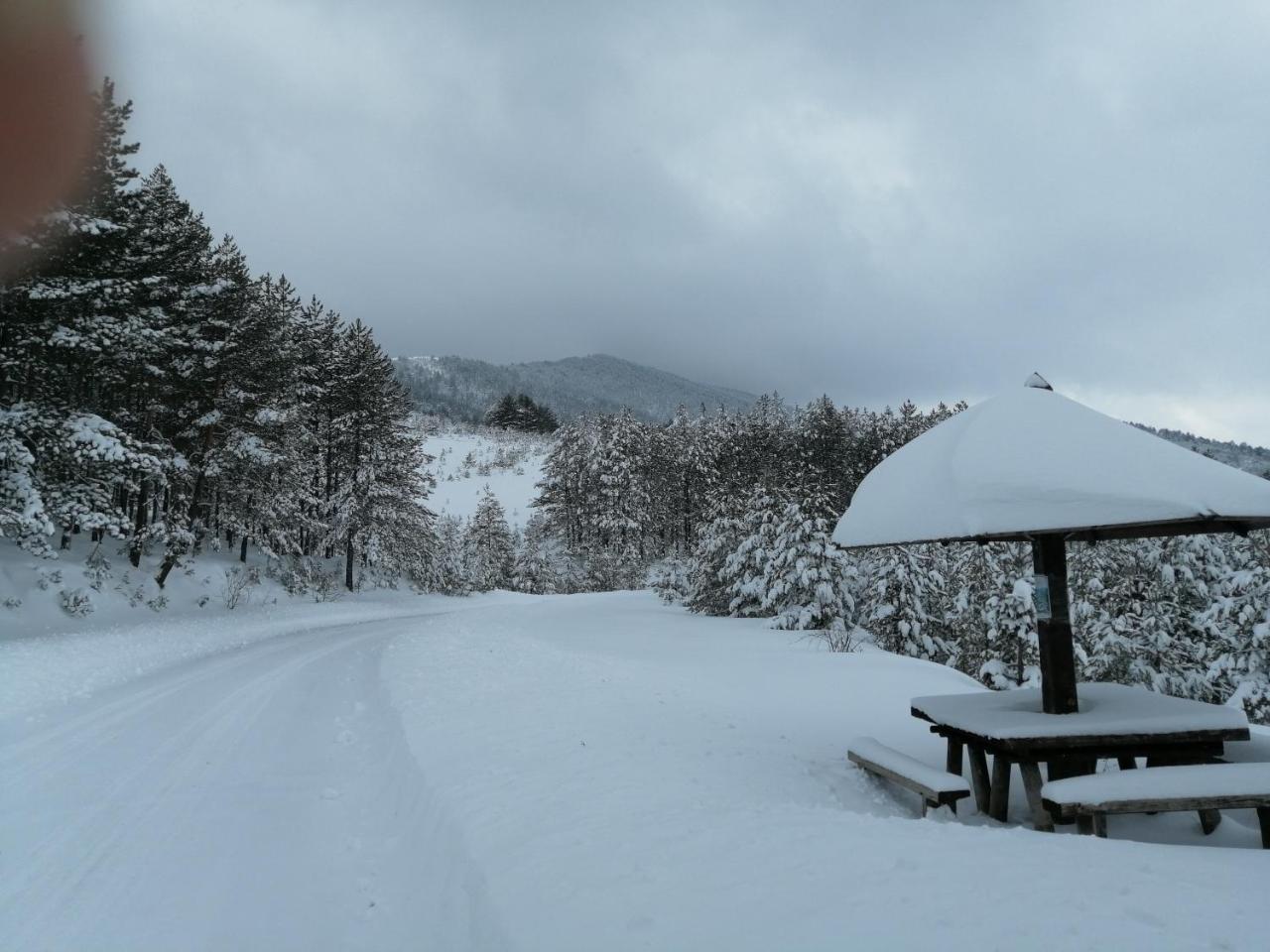 Chalet Four Seasons Zlatibor Exterior photo